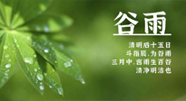 【二十四節(jié)氣灸】谷雨時(shí)節(jié)，用艾為您的健康加上一道保險(xiǎn)！