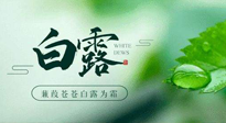 【二十四節(jié)氣灸】白露涼爽，養(yǎng)心肝脾胃、滋陰潤肺是關(guān)鍵！