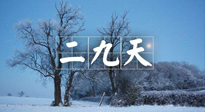 【三九養(yǎng)生】冬二九，扶陽(yáng)補(bǔ)腎氣，讓你陽(yáng)氣充足一整年！